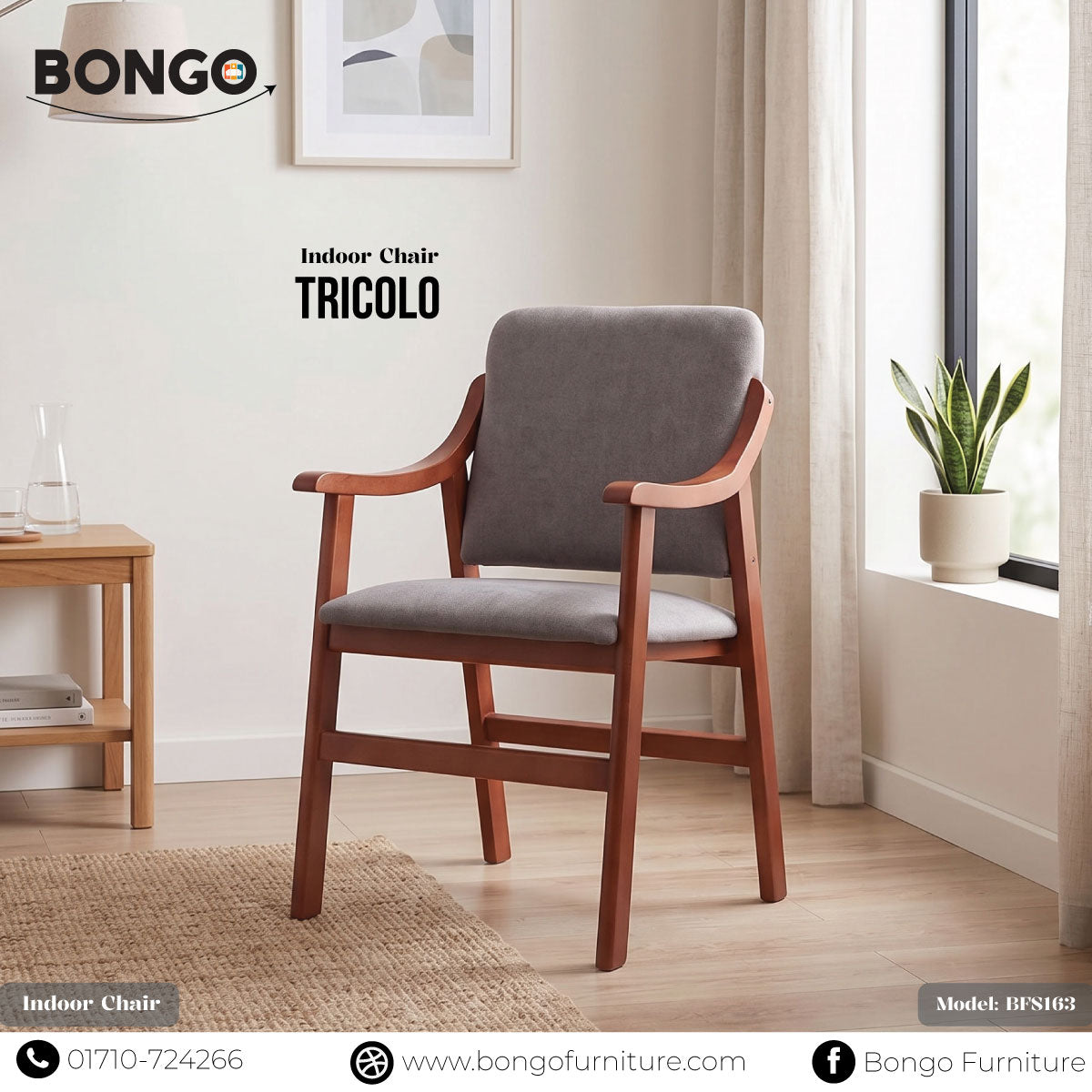 Tricolo - Wooden Indoor Chair | BFS163 Main image